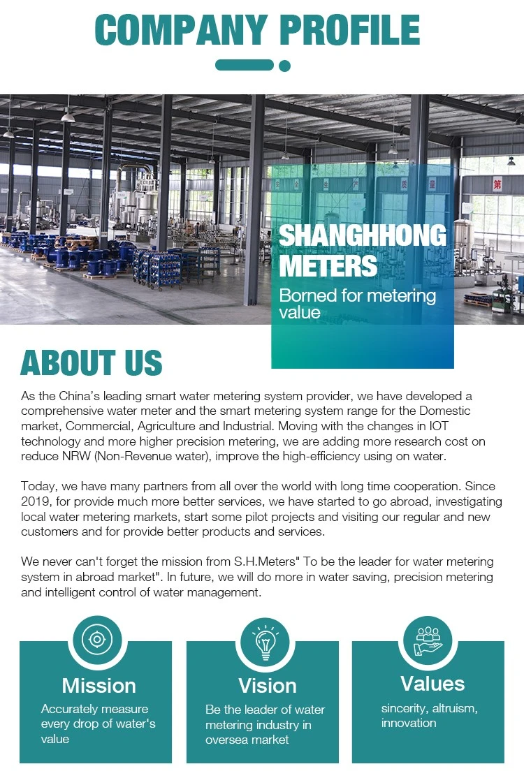 company introduction company introduction
